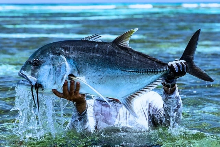 Game Fishing Experiences in Andaman for Adventure Lovers